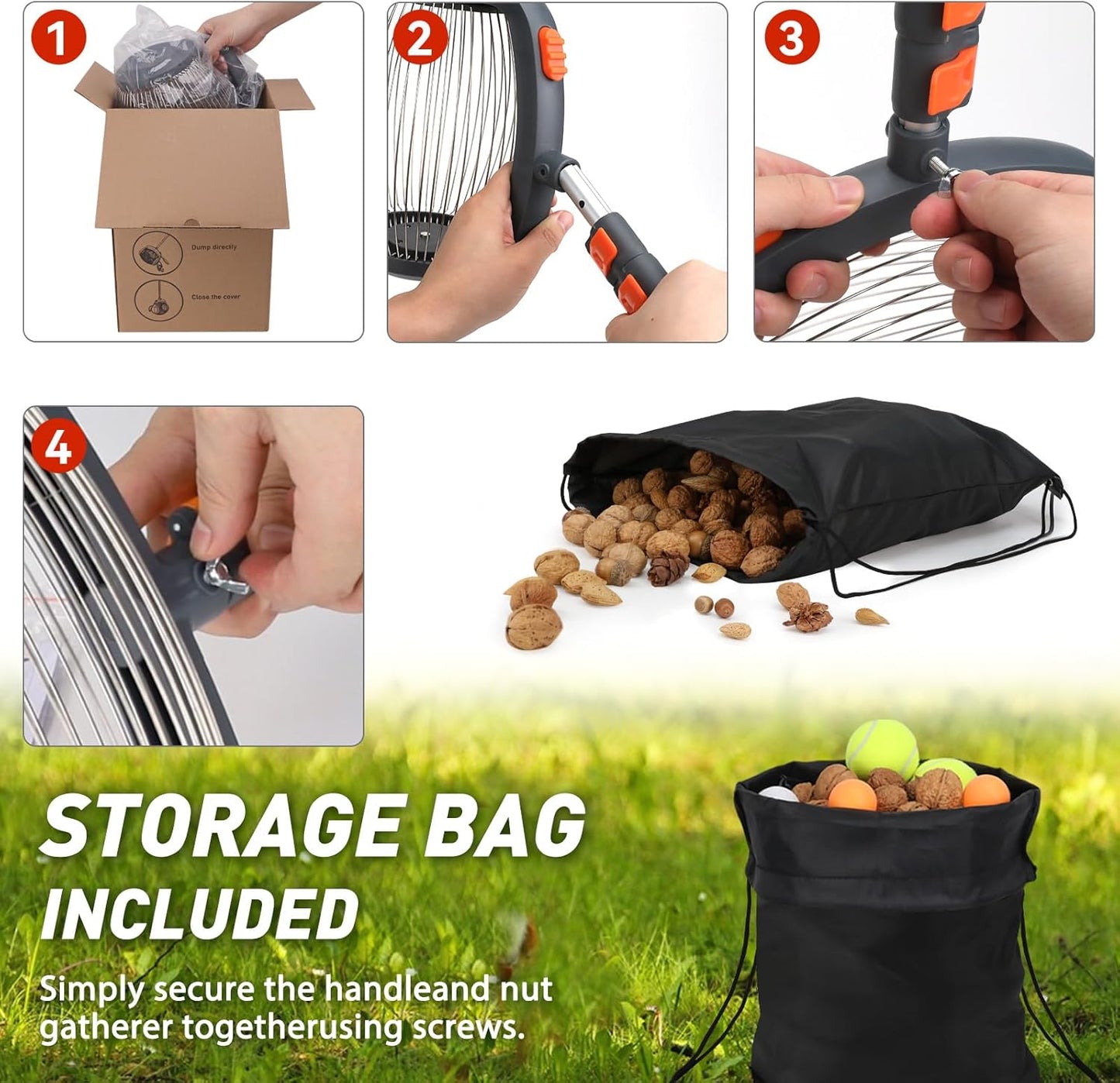 Foot-operated nut gatherer with walnuts