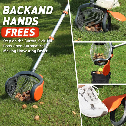 Foot-operated nut gatherer with walnuts