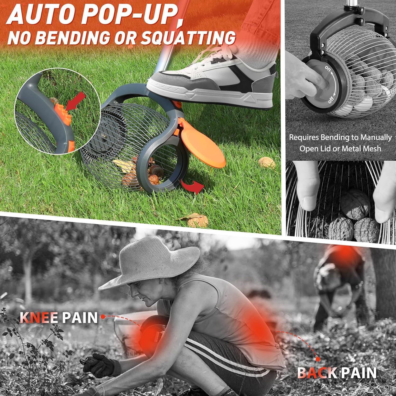 Foot-operated nut gatherer with walnuts