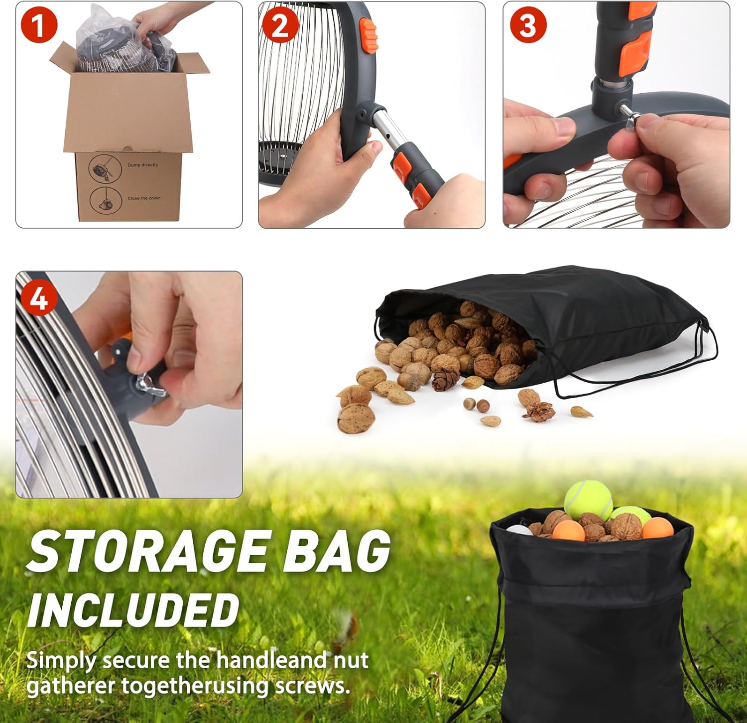Foot-operated nut gatherer with walnuts